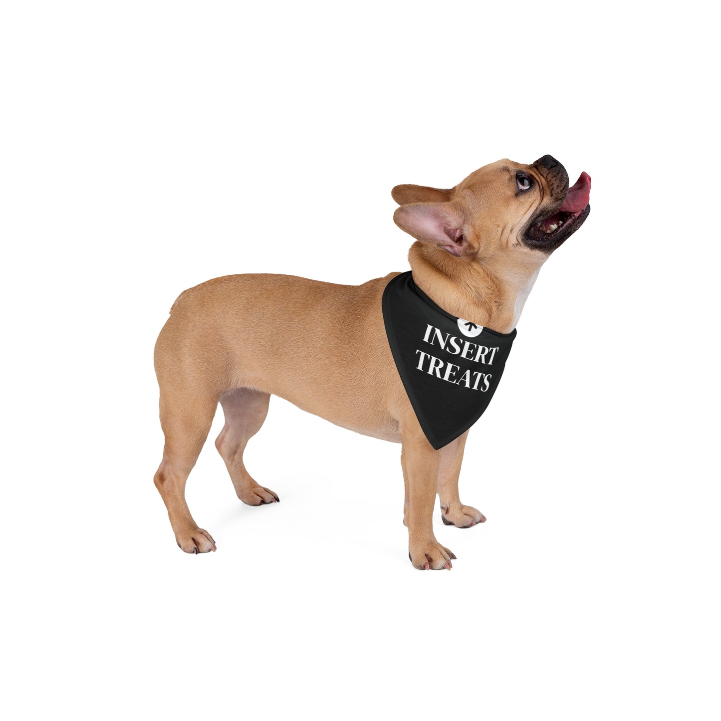 Insert Treats - Tie Up Pet Bandana
