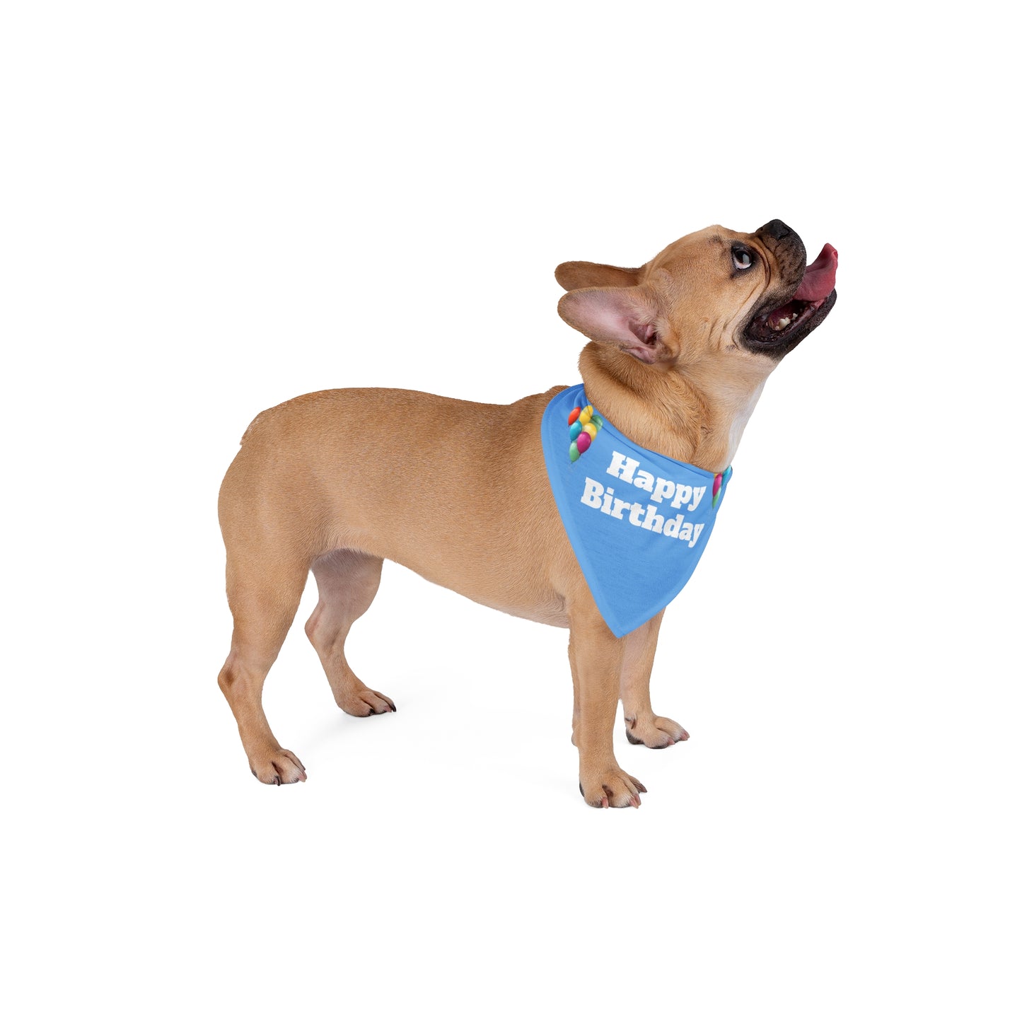 Happy Birthday on Blue - Tie Up Pet Bandana