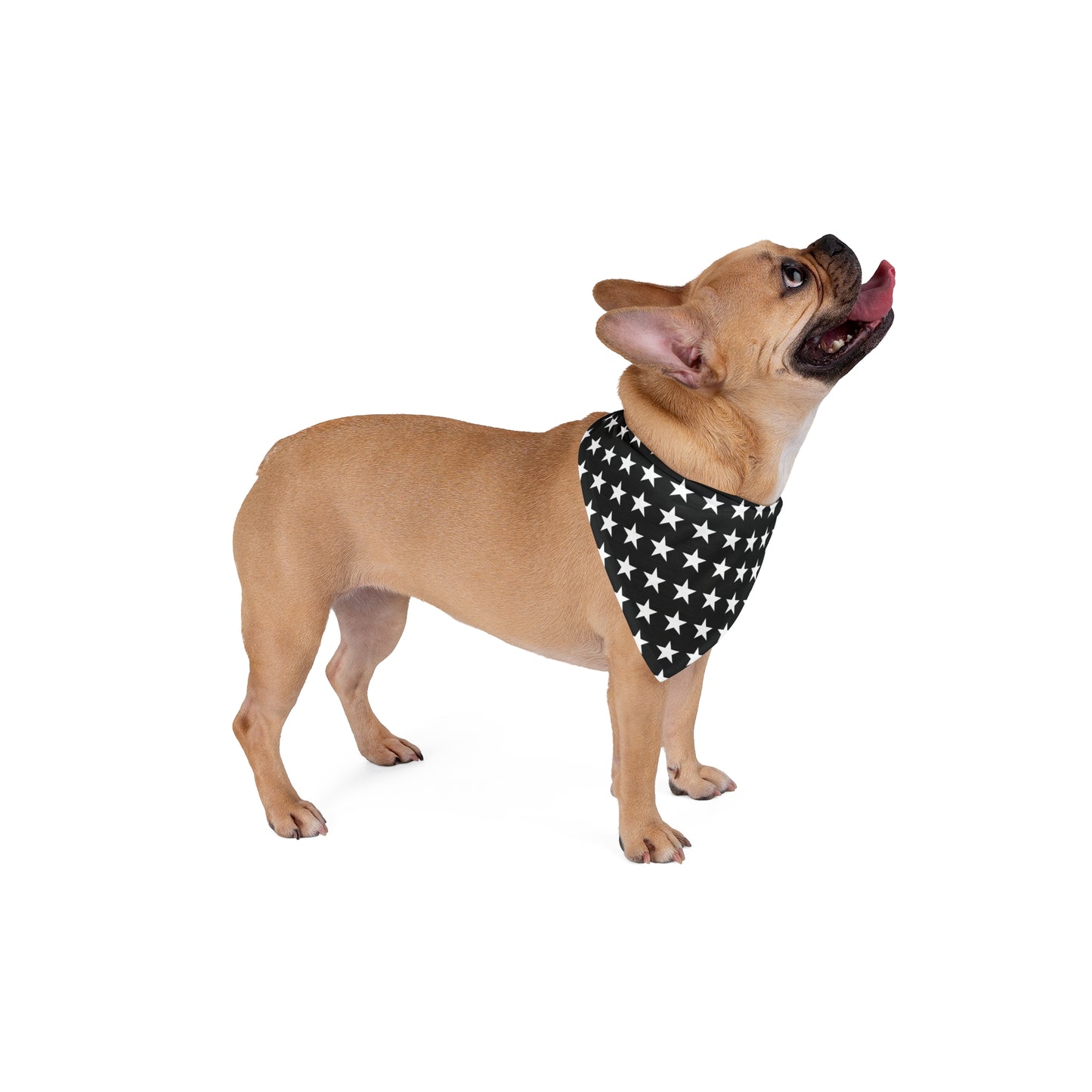 White Stars on Black - Tie Up Pet Bandana