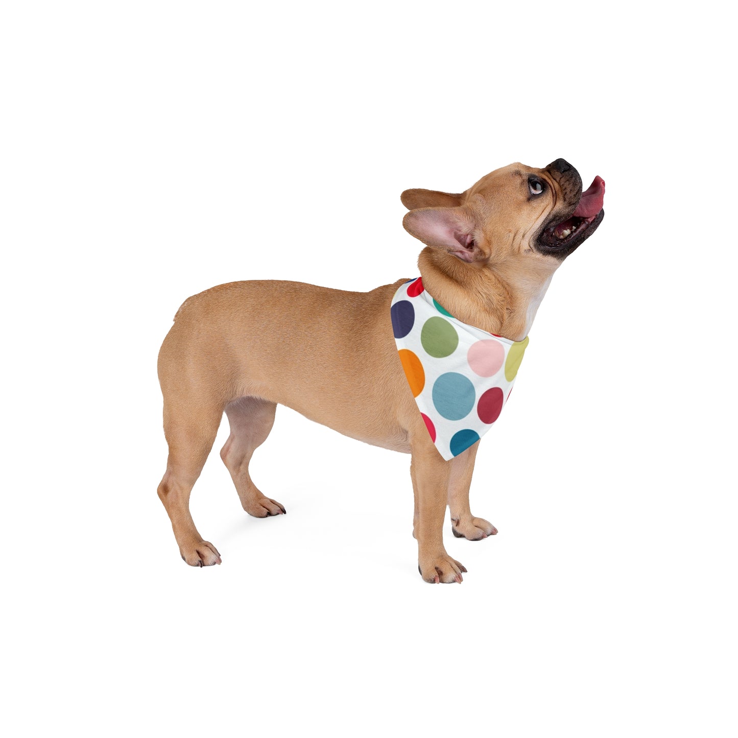 Polka Dots - Tie Up Pet Bandana