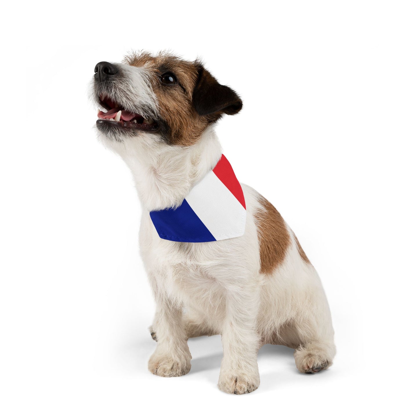 French Flag - Pet Bandana Collar