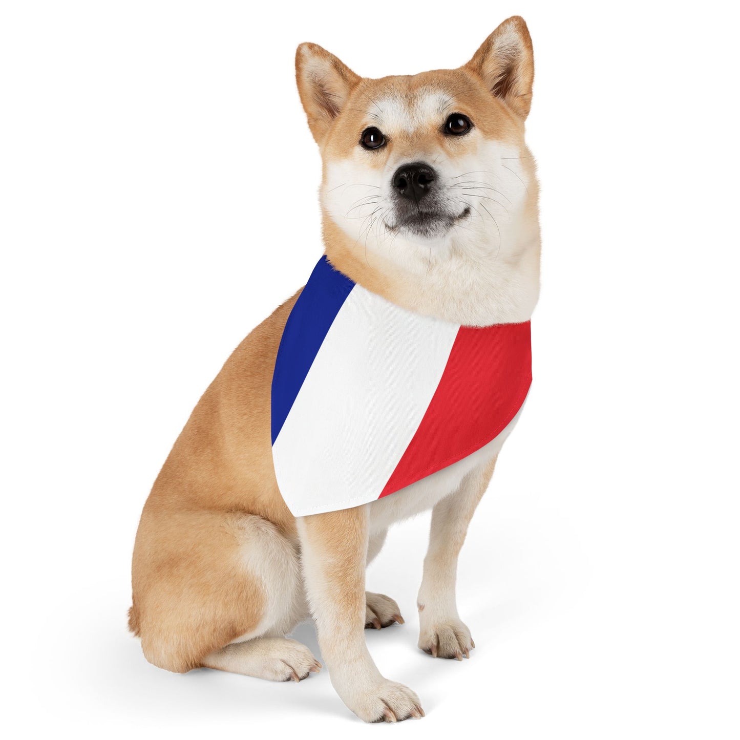 French Flag - Pet Bandana Collar