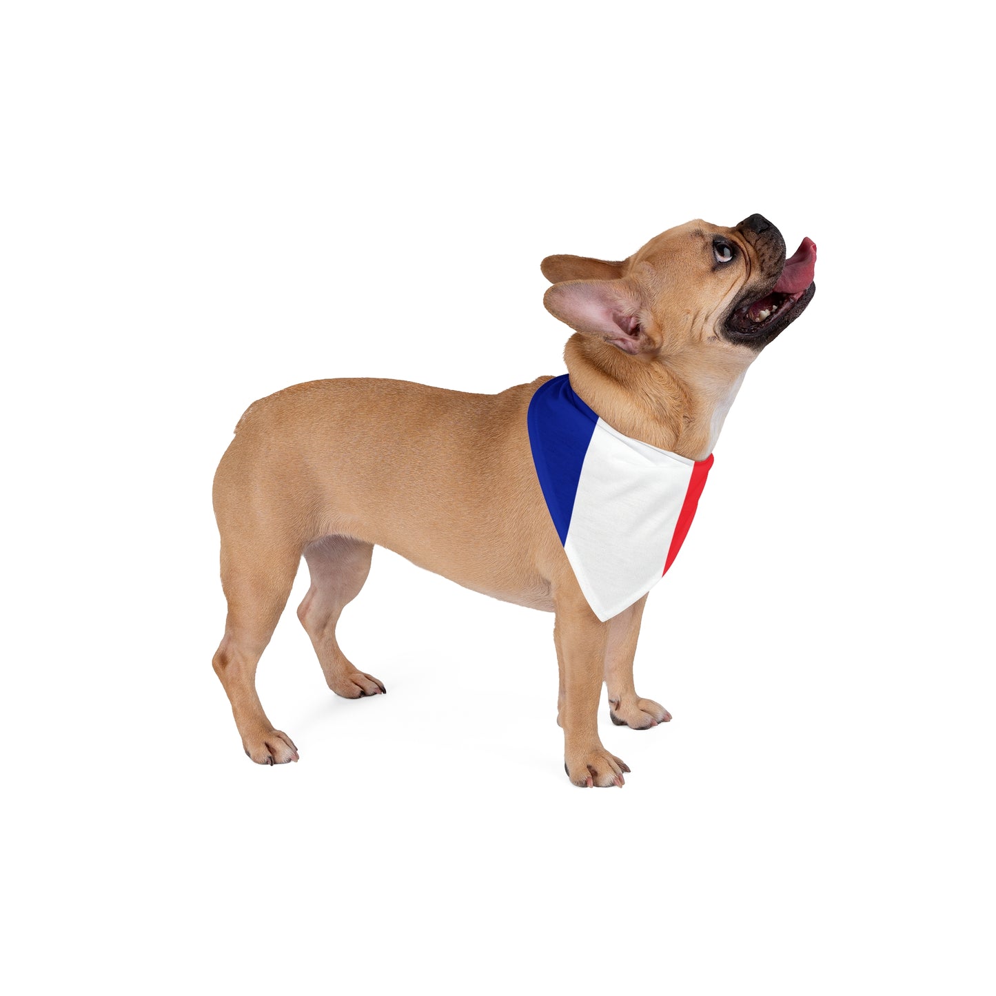 French Flag - Tie Up Pet Bandana