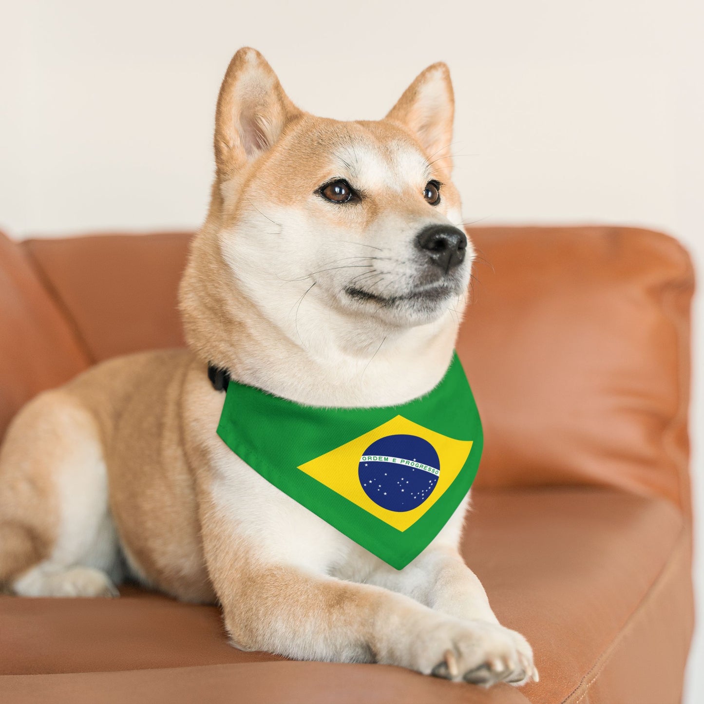 Brazil Flag - Pet Bandana Collar