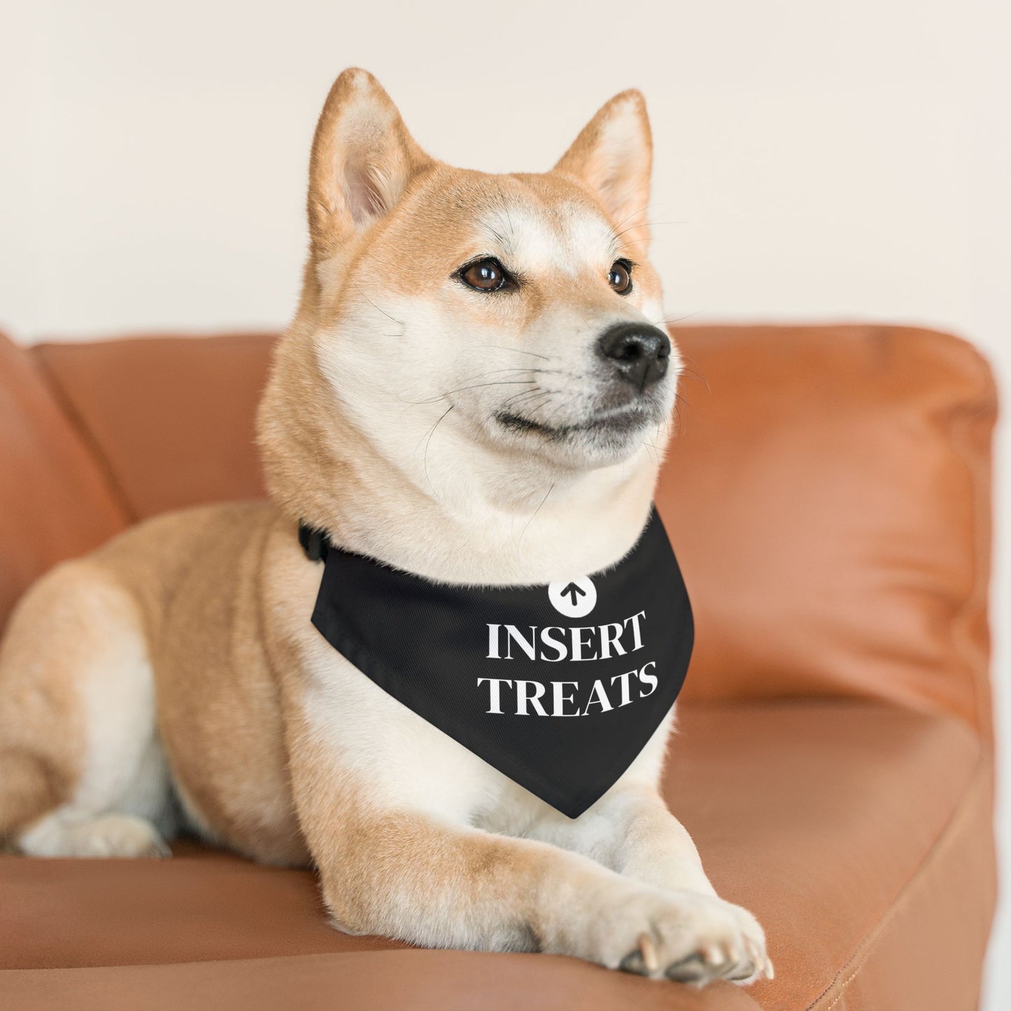 Insert Treats - Pet Bandana Collar