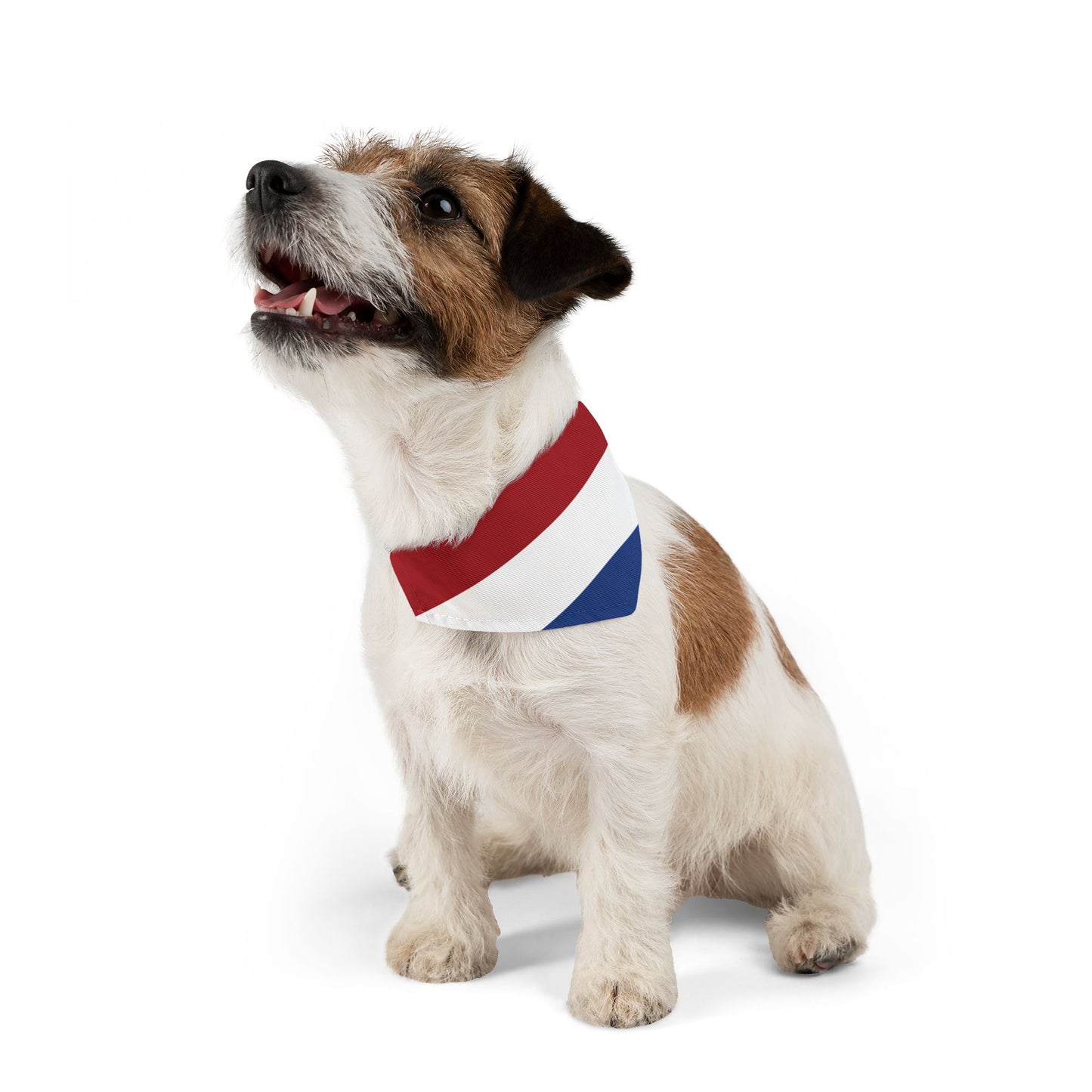 Netherlands Flag - Pet Bandana Collar