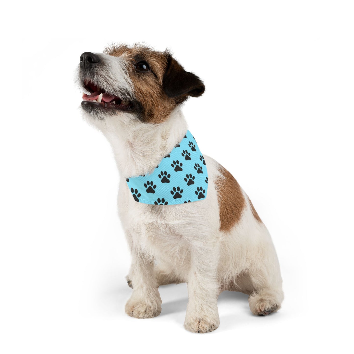 Black Paws on Light Blue - Pet Bandana Collar