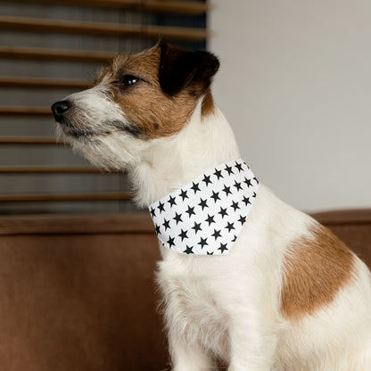 Black Stars on White - Pet Bandana Collar