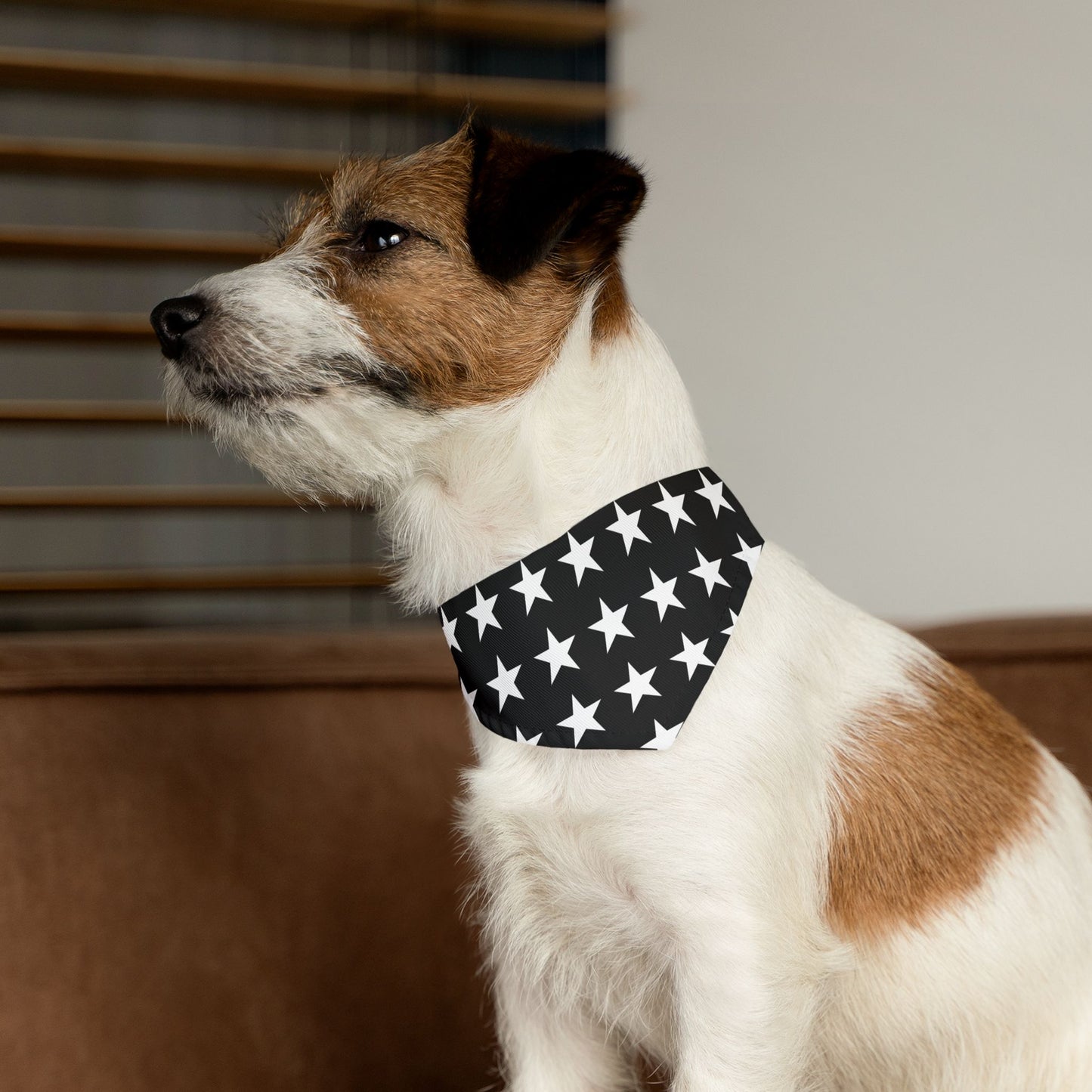 White Stars on Black - Pet Bandana Collar