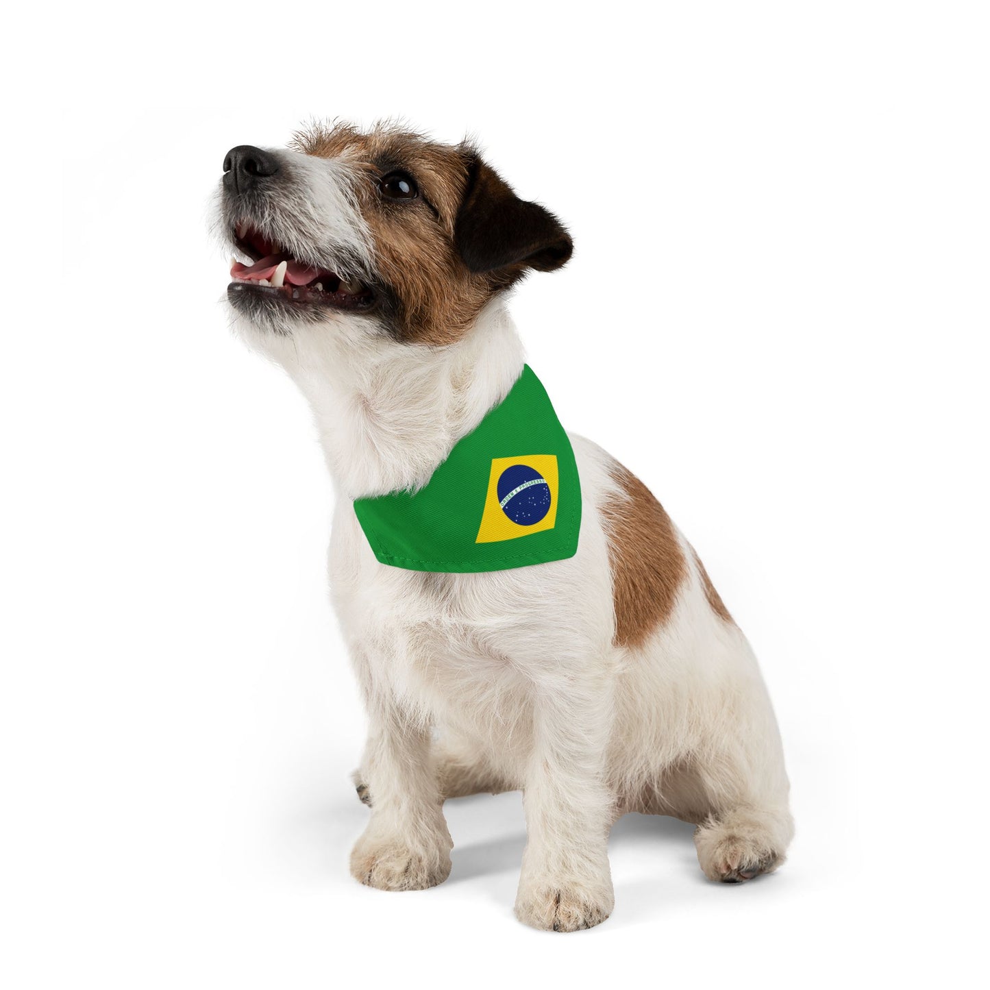 Brazil Flag - Pet Bandana Collar