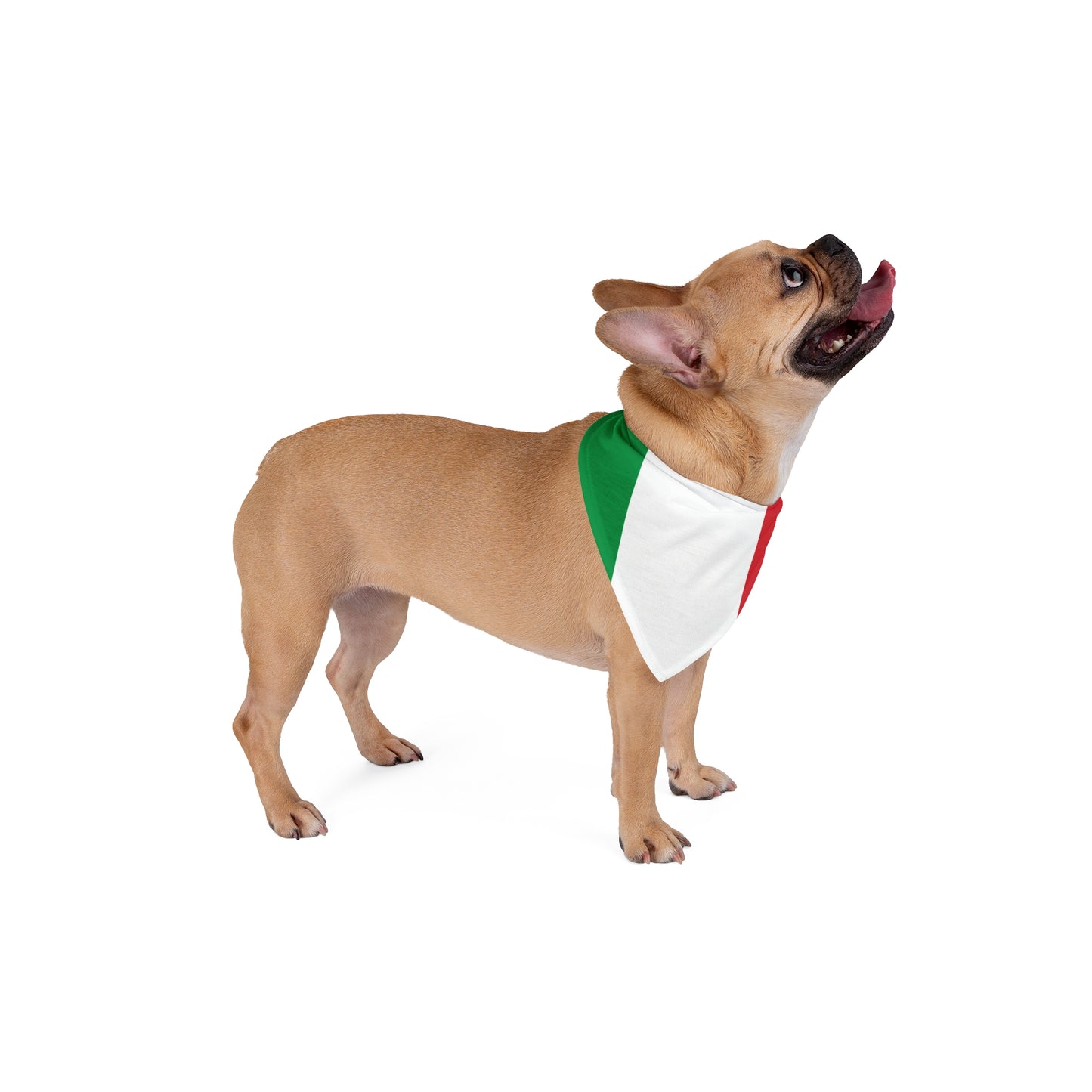 Italian Flag - Tie Up Pet Bandana