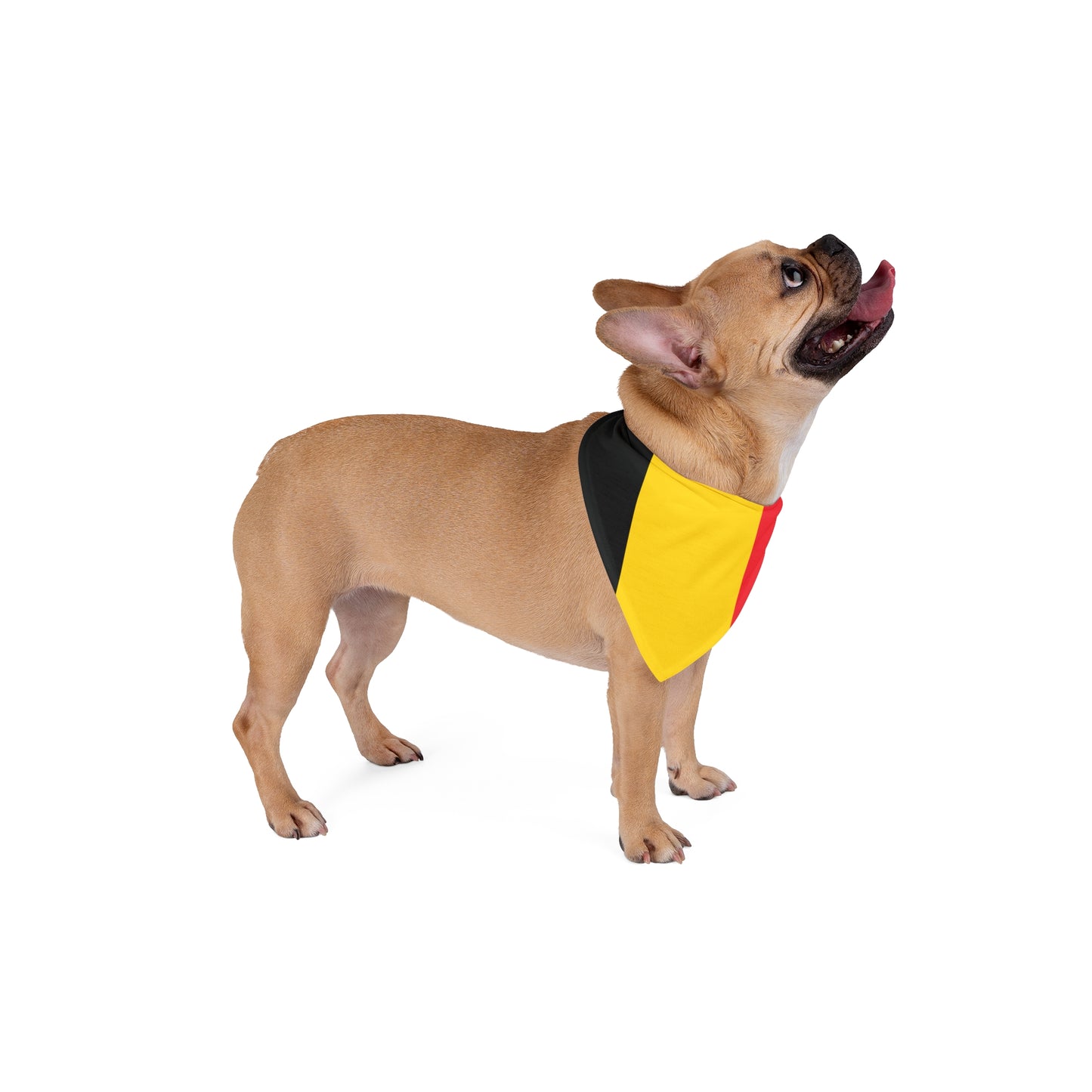 Belgium Flag - Tie Up Pet Bandana