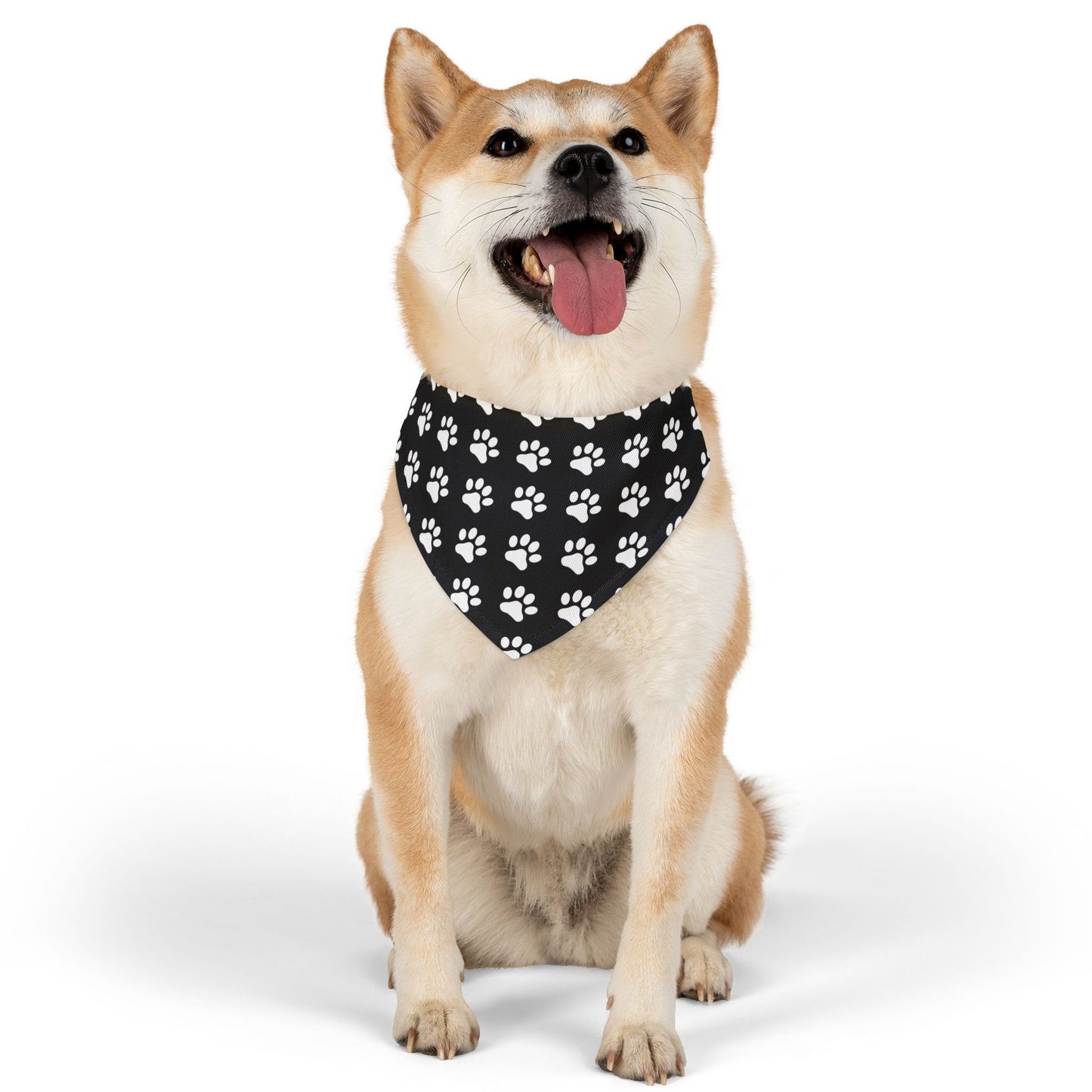 White Paws on Black - Pet Bandana Collar