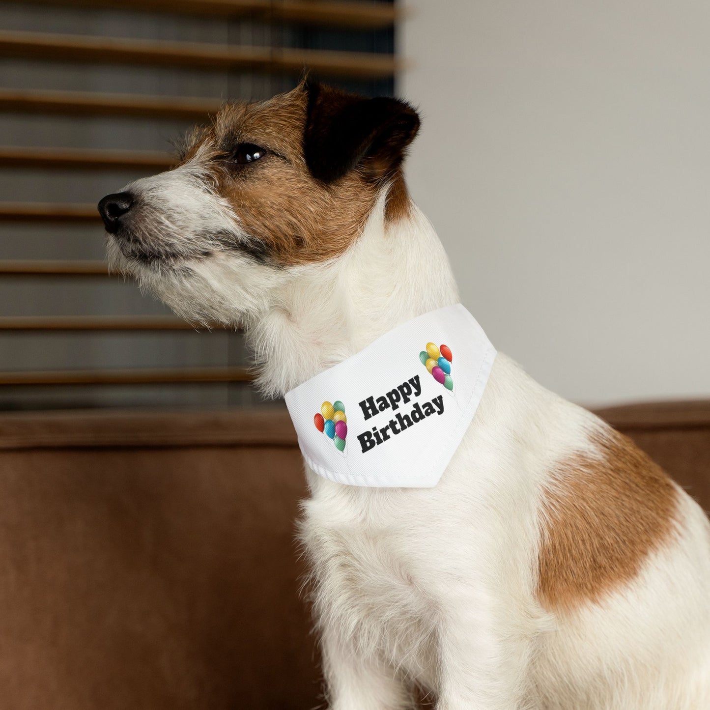 Happy Birthday on White - Pet Bandana Collar