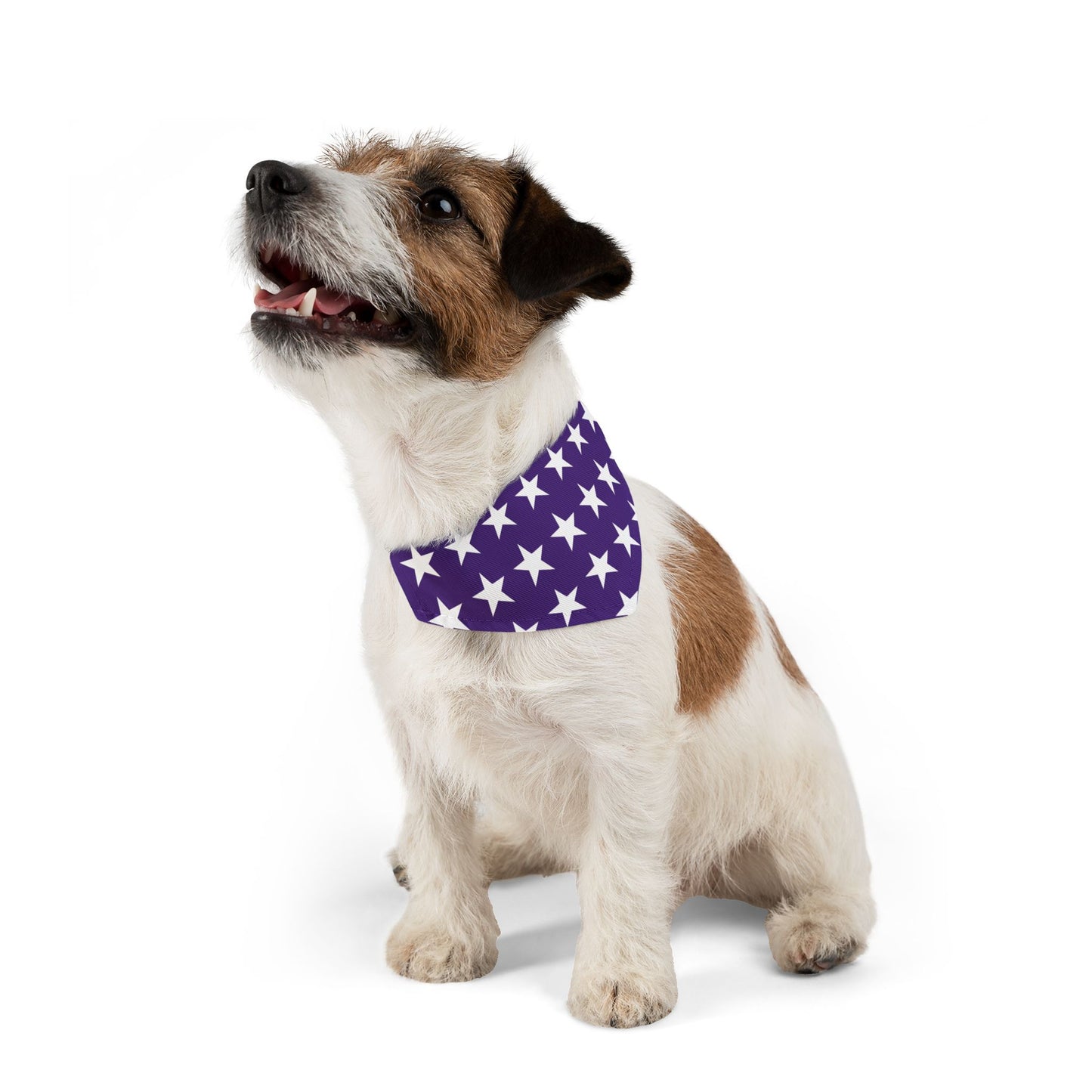 White Stars on Purple - Pet Bandana Collar