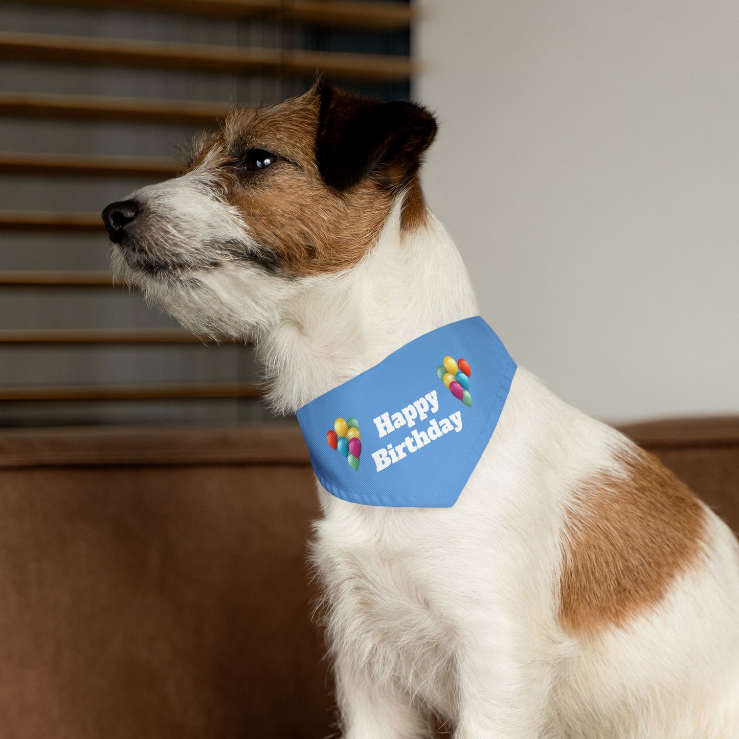 Happy Birthday on Blue - Pet Bandana Collar