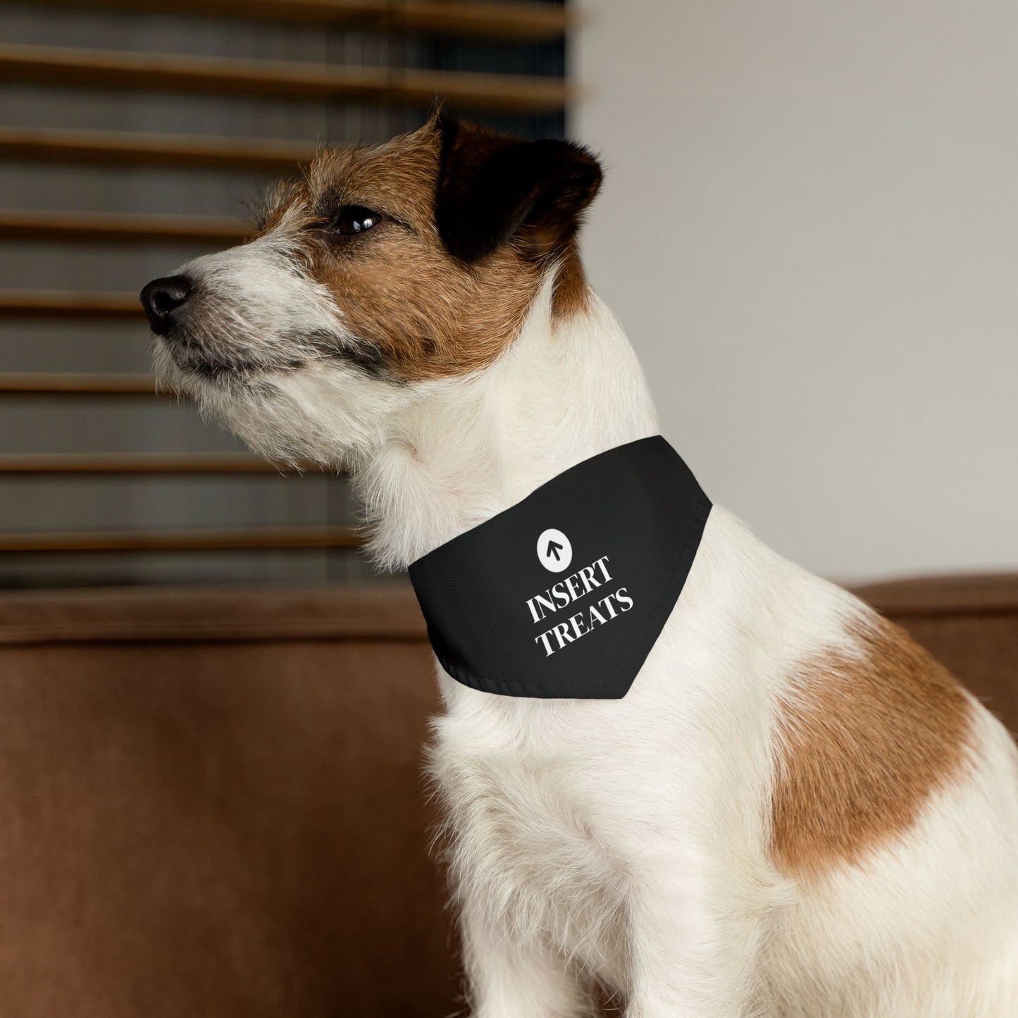 Insert Treats - Pet Bandana Collar