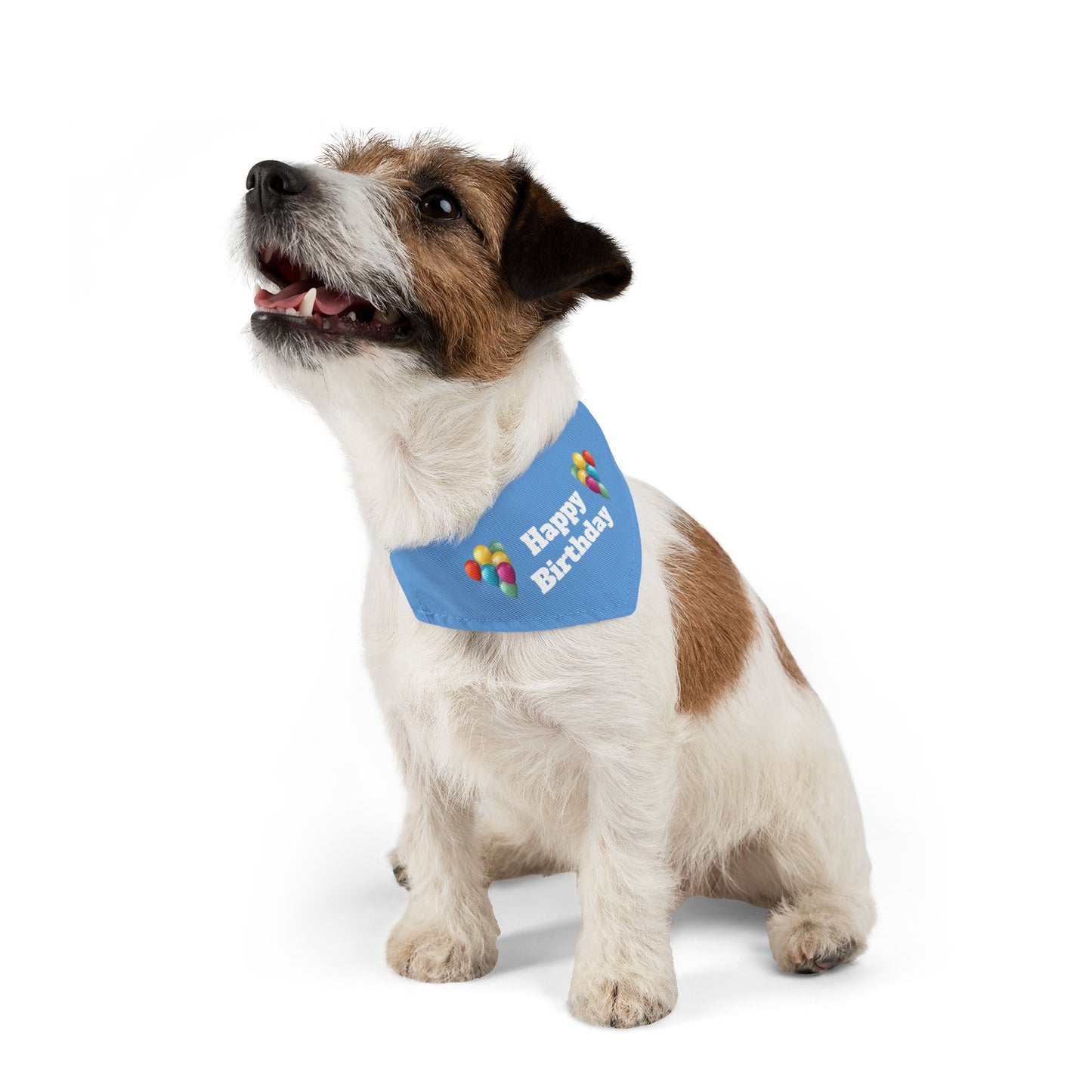 Happy Birthday on Blue - Pet Bandana Collar