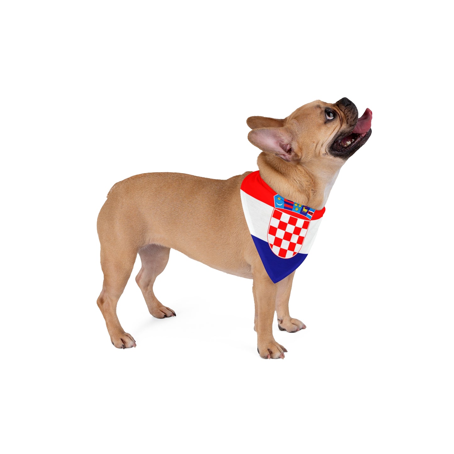 Croatia Flag - Tie Up Pet Bandana