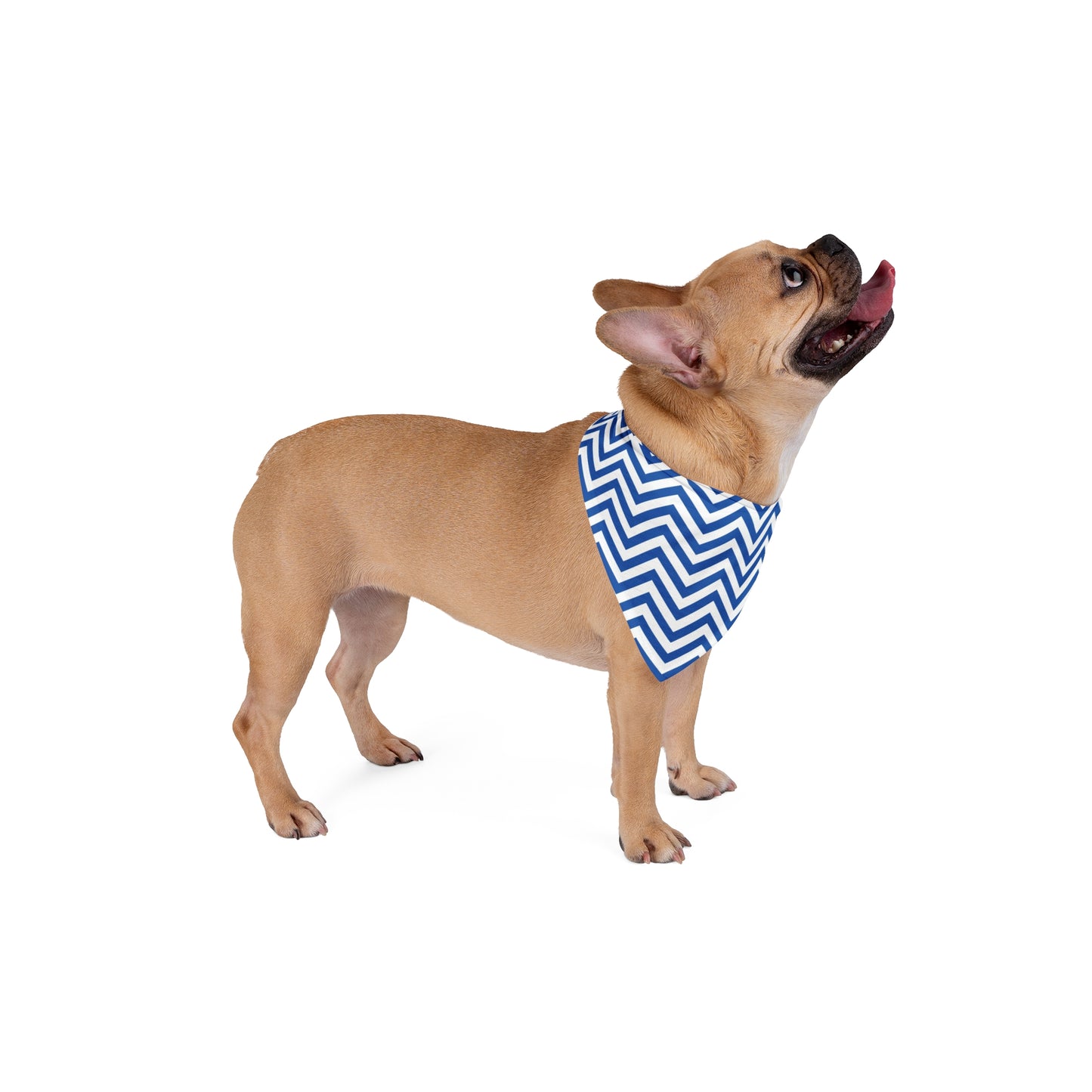 Chevron Blue - Tie Up Pet Bandana