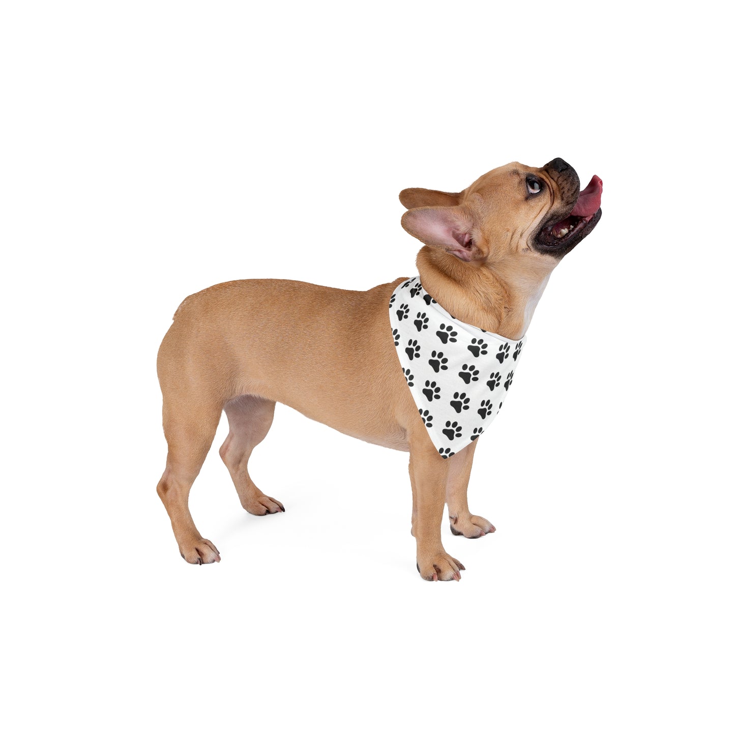 Black Paws on White - Tie Up Pet Bandana