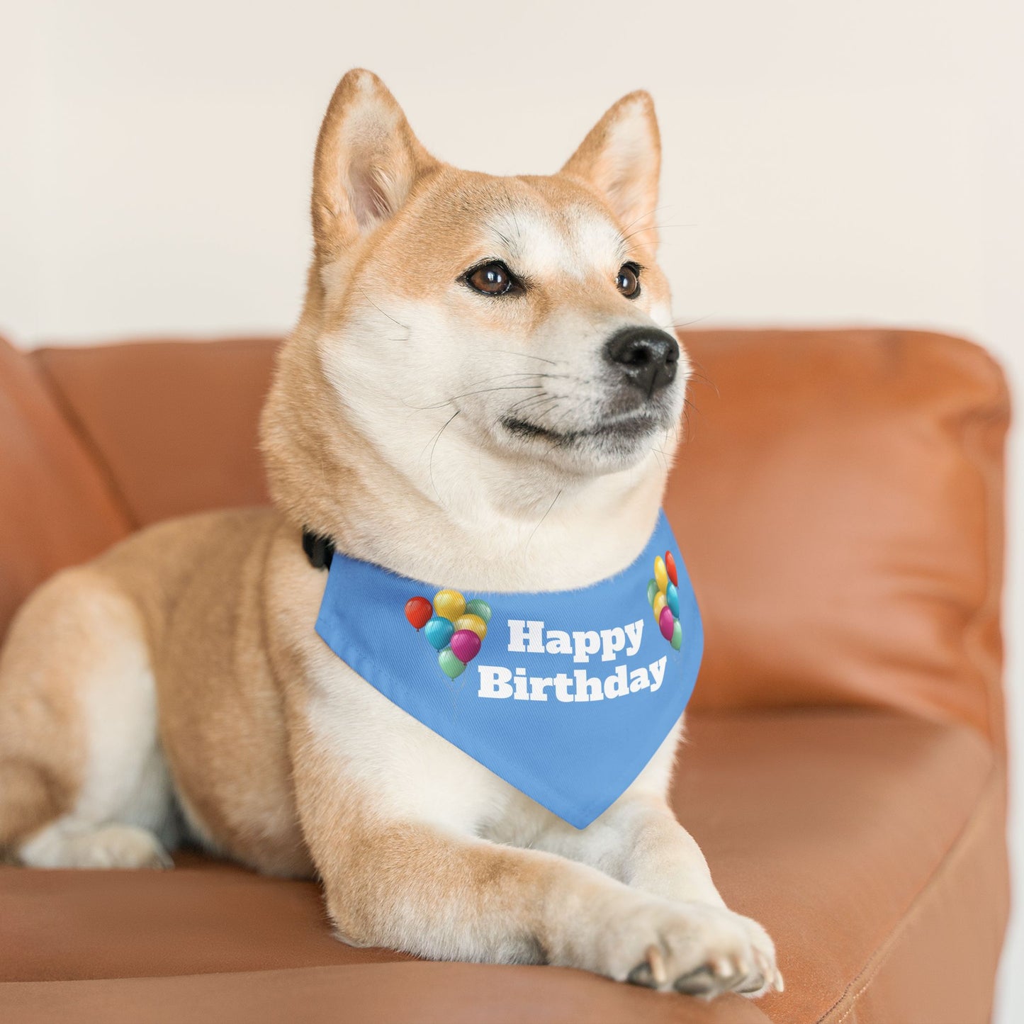 Happy Birthday on Blue - Pet Bandana Collar