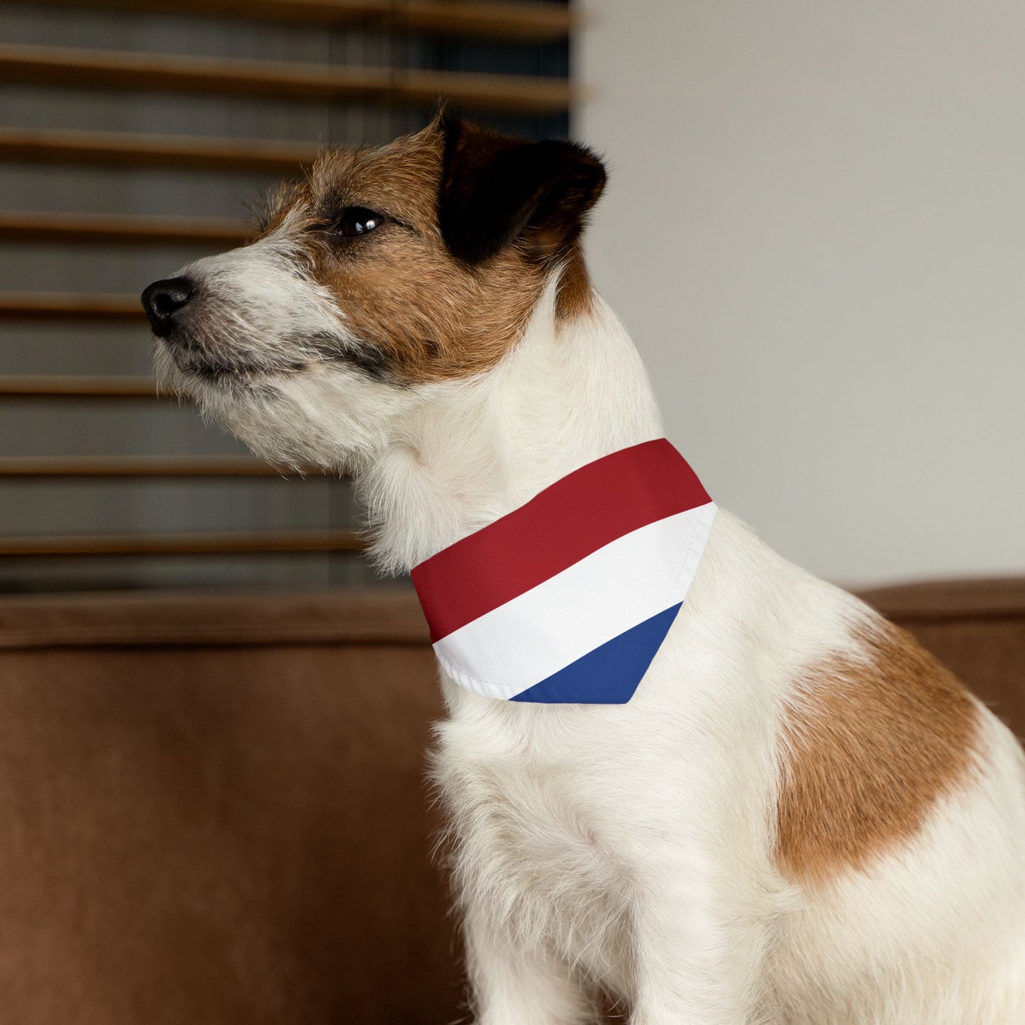 Netherlands Flag - Pet Bandana Collar