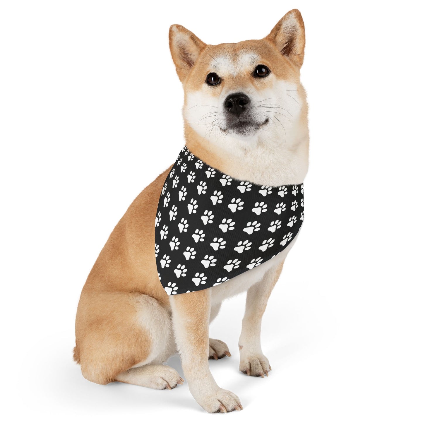 White Paws on Black - Pet Bandana Collar