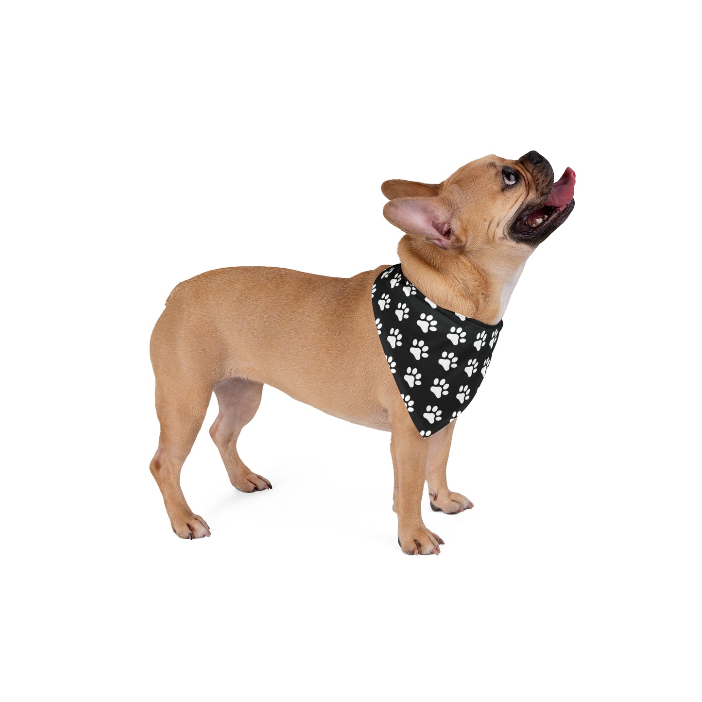 White Paws on Black - Tie Up Pet Bandana