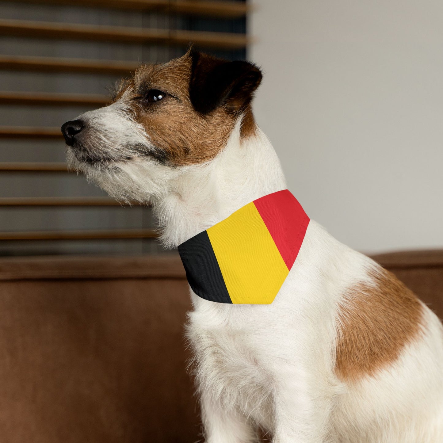 Belgium Flag - Pet Bandana Collar