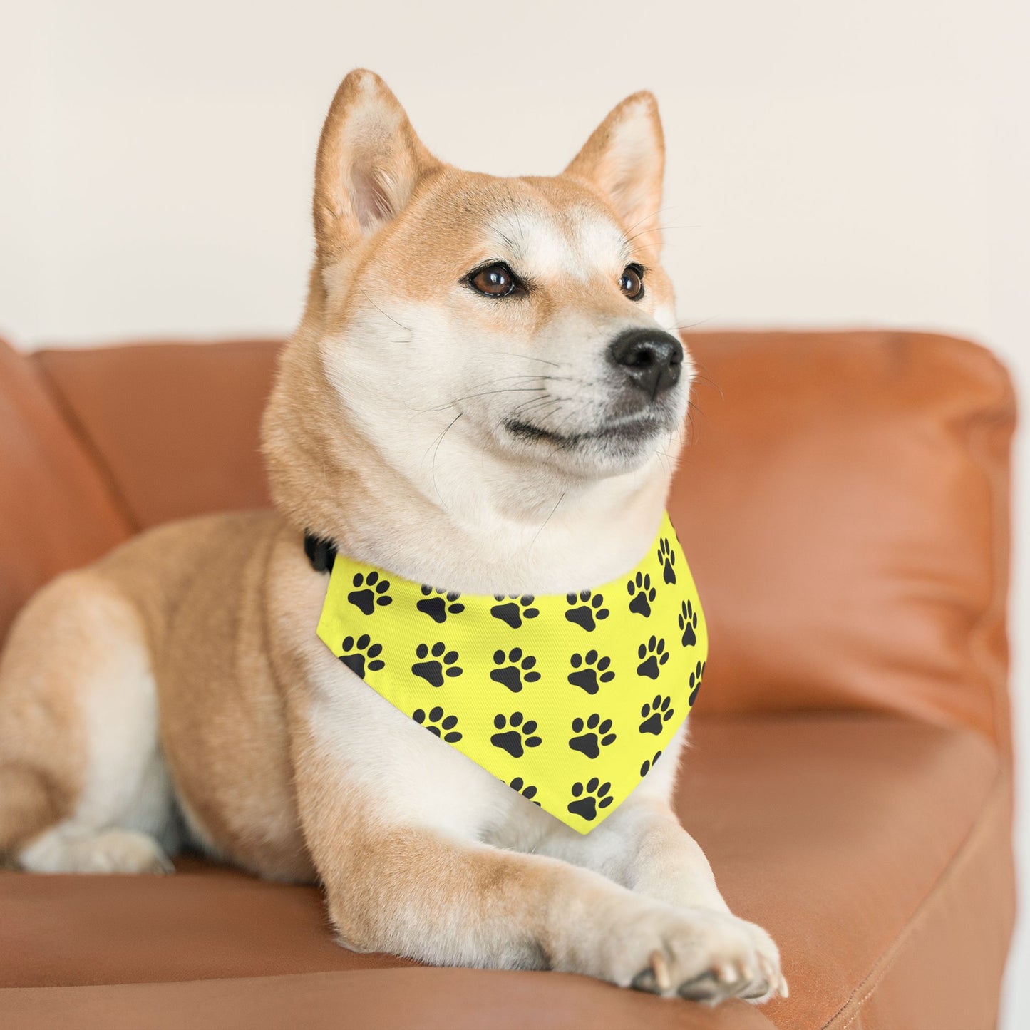 Black Paws on Yellow - Pet Bandana Collar