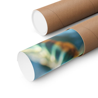 Toby The Turtle - Physical Print Stunning Premium Poster