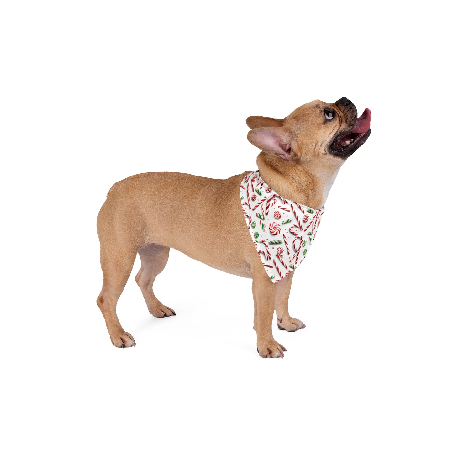 Christmas Candy Canes - Tie Up Pet Bandana