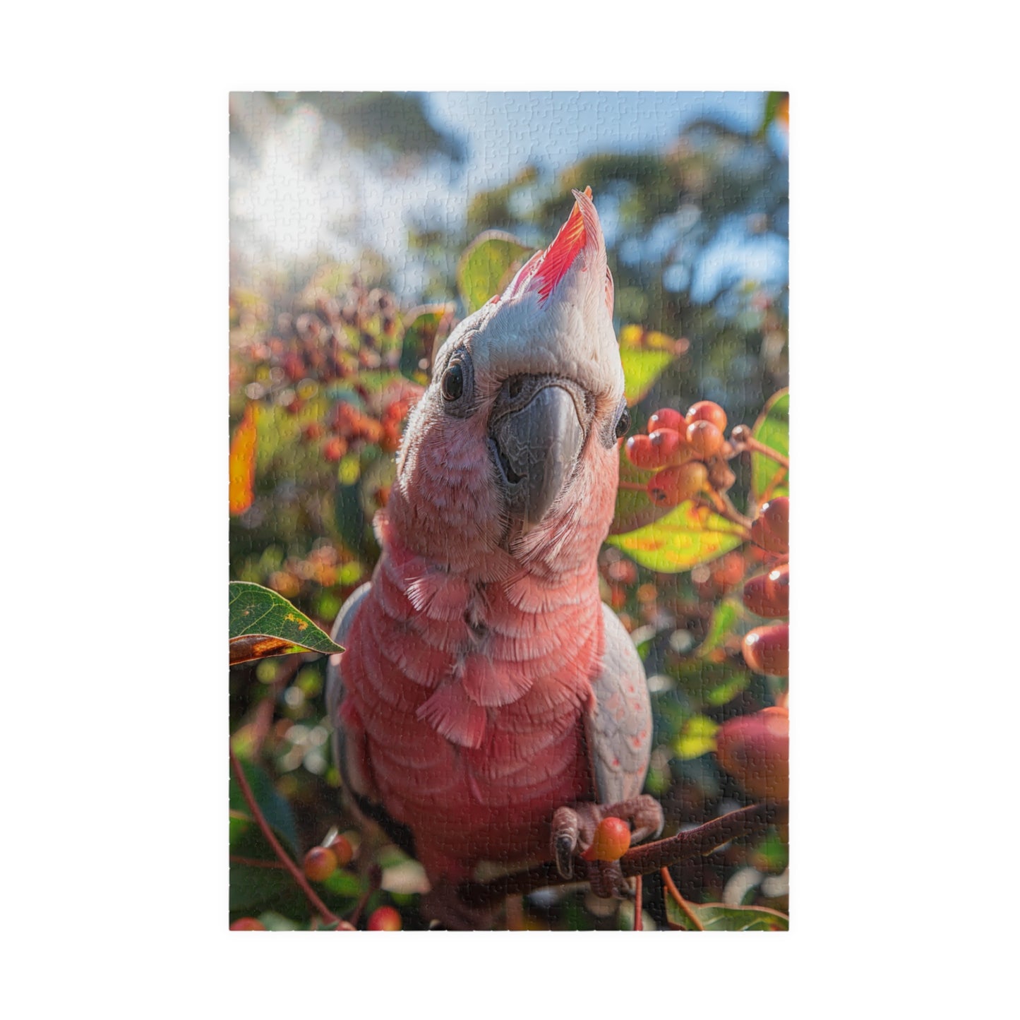 George The Galah - 1014-Piece Jigsaw Puzzle