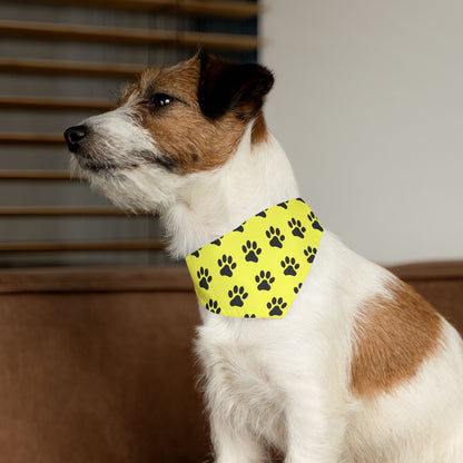 Black Paws on Yellow - Pet Bandana Collar