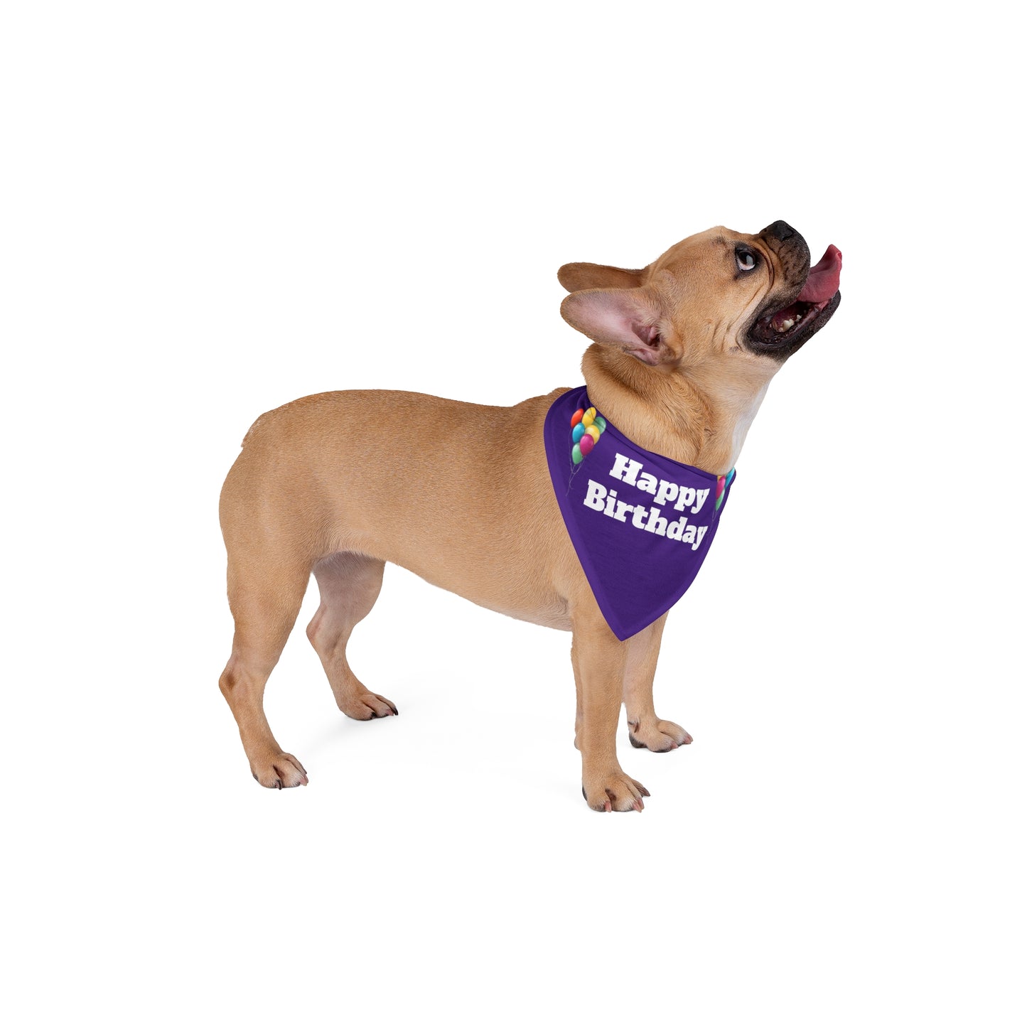 Happy Birthday on Purple - Tie Up Pet Bandana