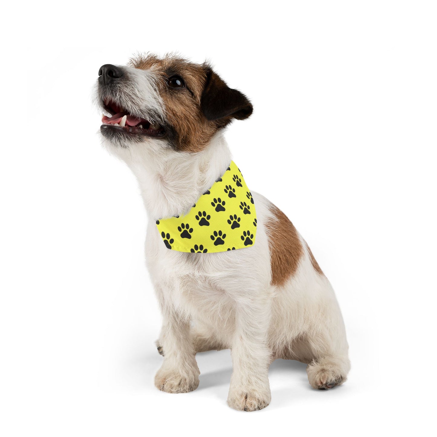 Black Paws on Yellow - Pet Bandana Collar