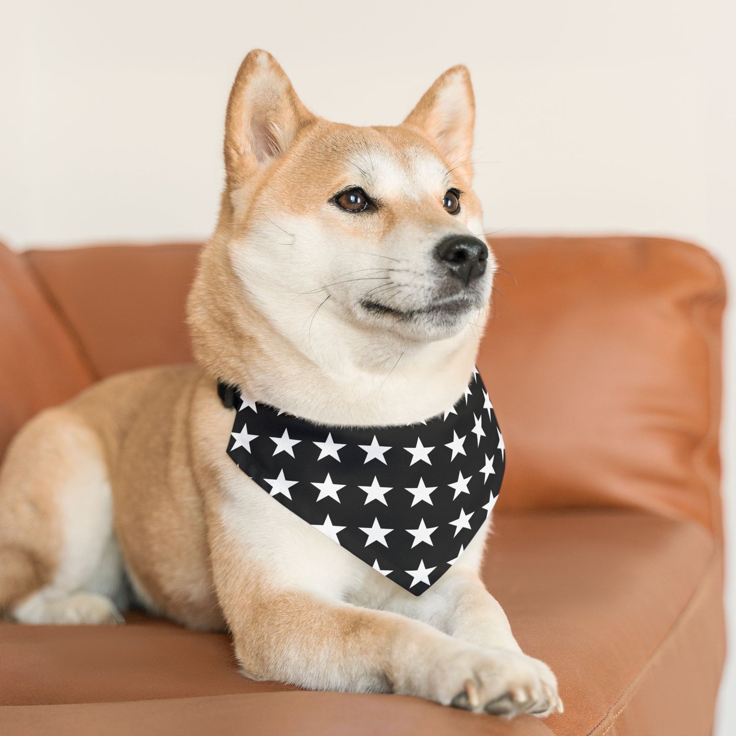 White Stars on Black - Pet Bandana Collar