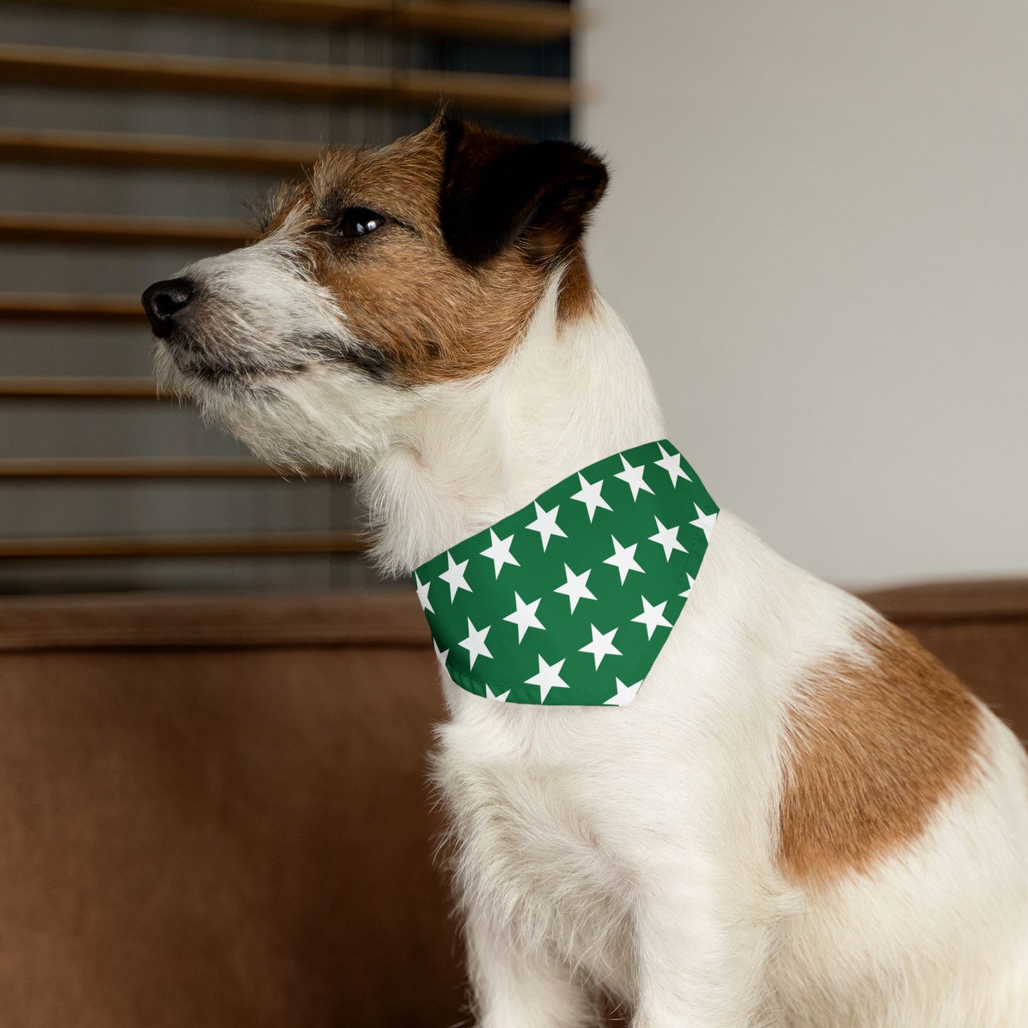 White Stars on Green - Pet Bandana Collar