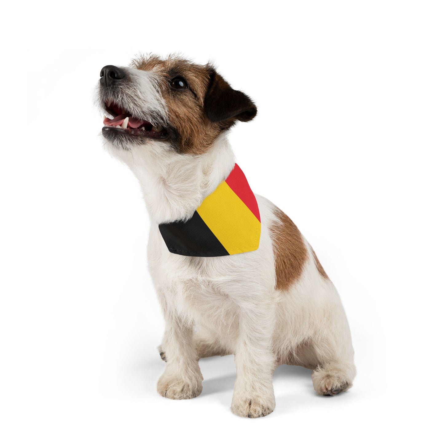 Belgium Flag - Pet Bandana Collar