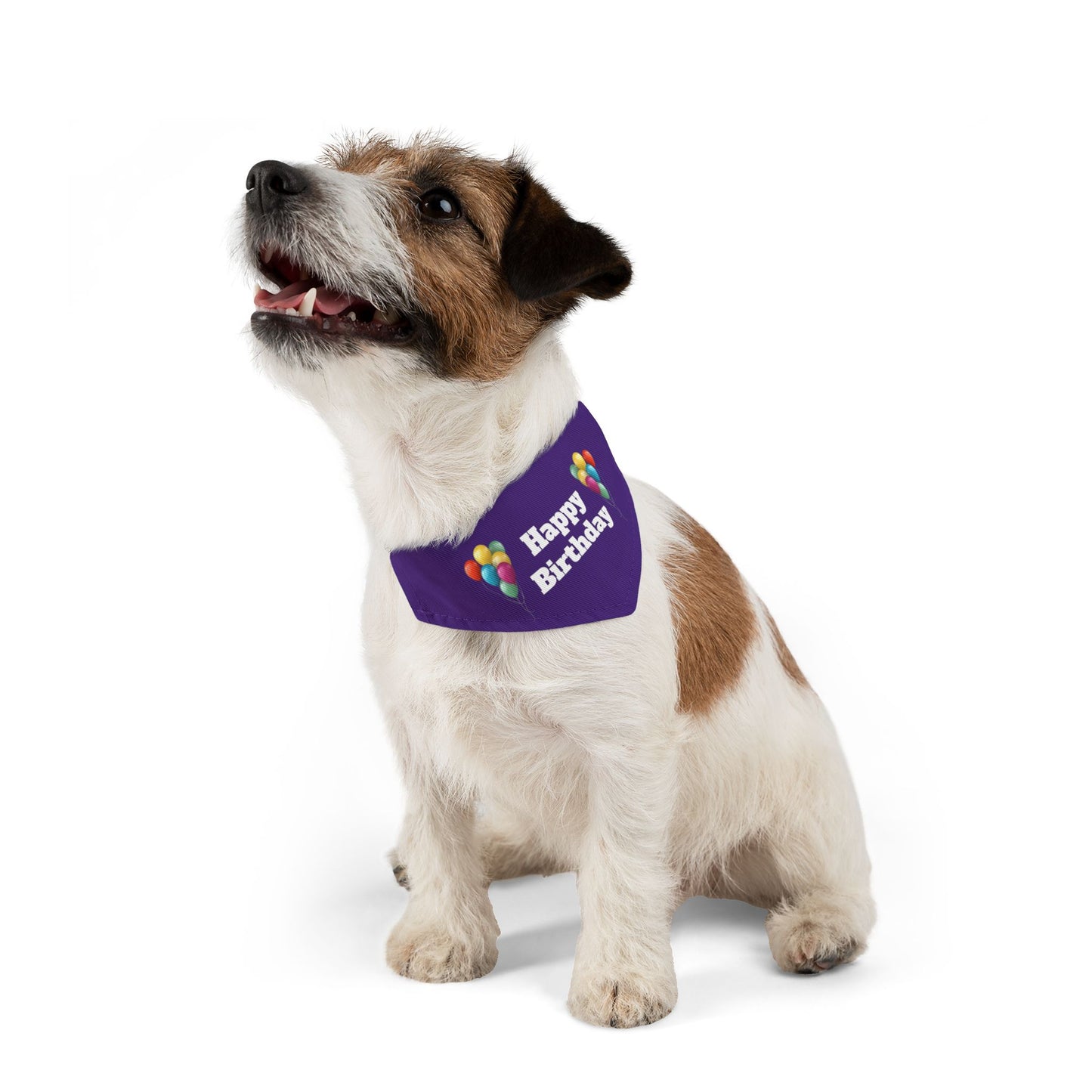 Happy Birthday on Purple - Pet Bandana Collar