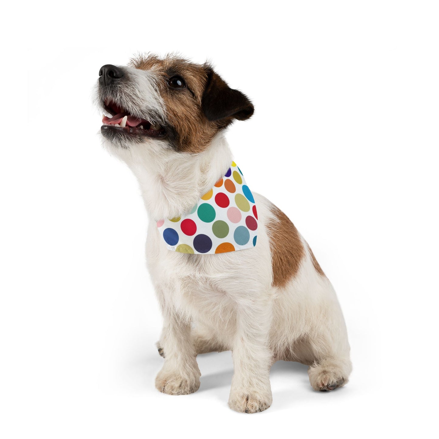 Polka Dots - Pet Bandana Collar