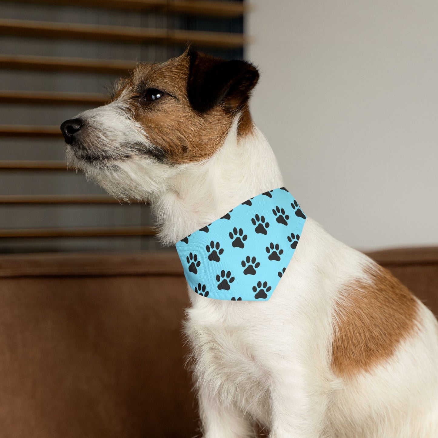 Black Paws on Light Blue - Pet Bandana Collar