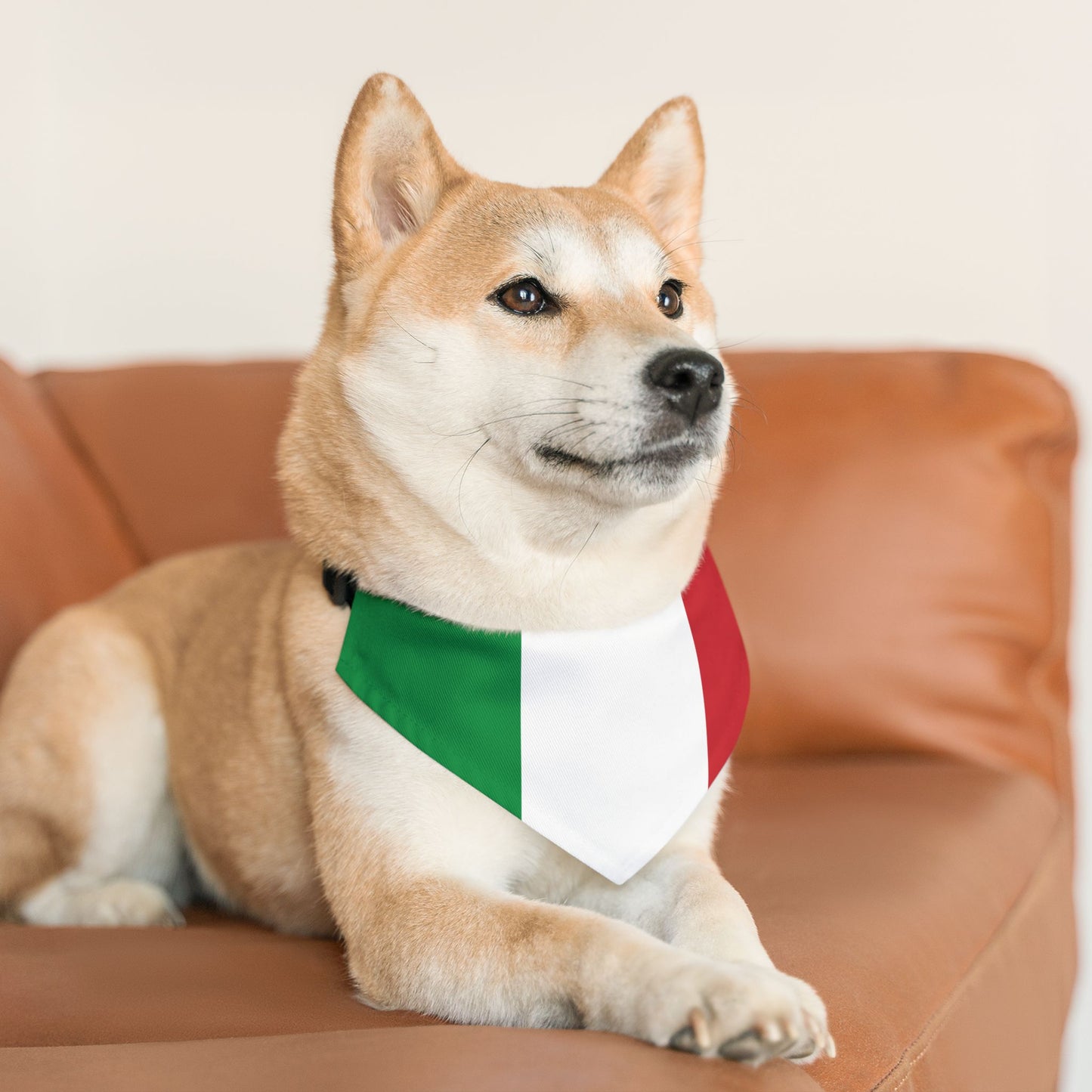 Italian Flag - Pet Bandana Collar